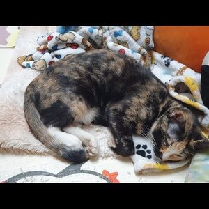 Meet your Posher, Phuc